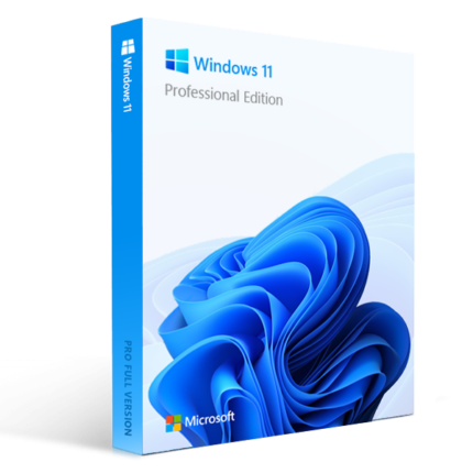 Microsoft Windows 11 Professional OEM